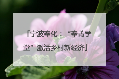 宁波奉化：“奉菁学堂”激活乡村新经济
