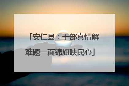 安仁县：干部真情解难题一面锦旗映民心