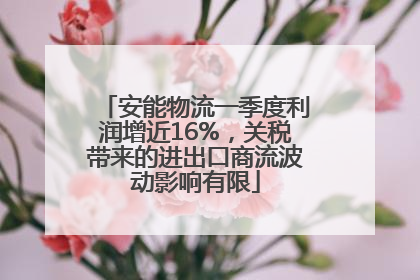 安能物流一季度利润增近16%，关税带来的进出口商流波动影响有限