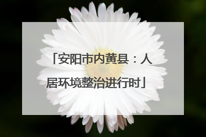 安阳市内黄县：人居环境整治进行时