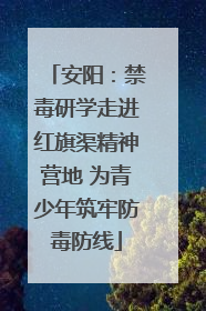 安阳：禁毒研学走进红旗渠精神营地 为青少年筑牢防毒防线