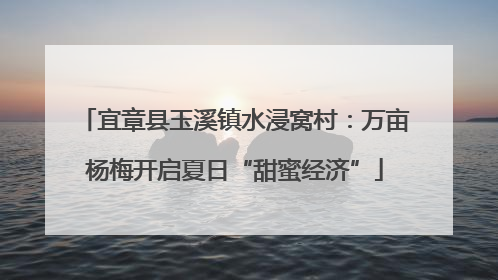 宜章县玉溪镇水浸窝村：万亩杨梅开启夏日“甜蜜经济”