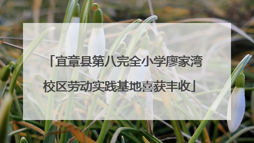 宜章县第八完全小学廖家湾校区劳动实践基地喜获丰收
