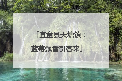 宜章县天塘镇：蓝莓飘香引客来