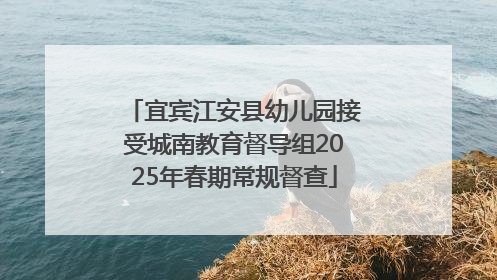 宜宾江安县幼儿园接受城南教育督导组2025年春期常规督查
