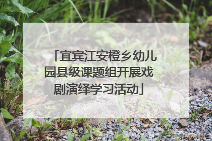 宜宾江安橙乡幼儿园县级课题组开展戏剧演绎学习活动