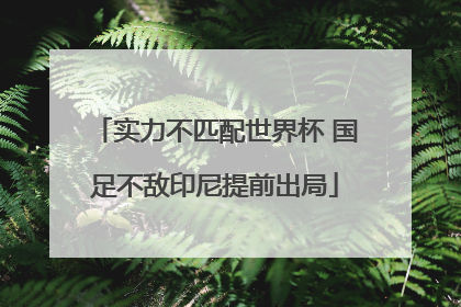 实力不匹配世界杯 国足不敌印尼提前出局