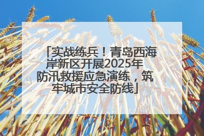 实战练兵！青岛西海岸新区开展2025年防汛救援应急演练，筑牢城市安全防线