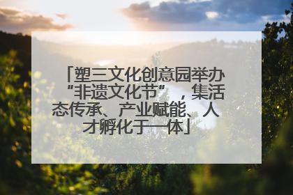 塑三文化创意园举办“非遗文化节”，集活态传承、产业赋能、人才孵化于一体