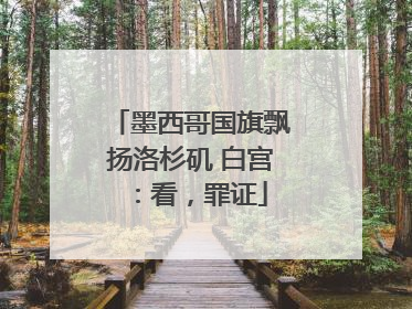 墨西哥国旗飘扬洛杉矶 白宫：看，罪证