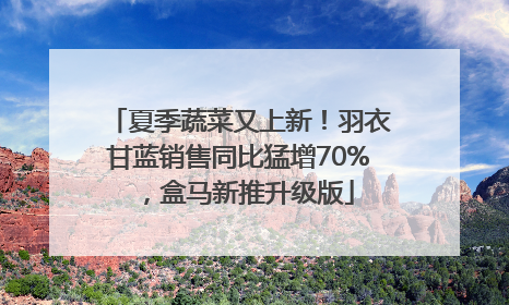 夏季蔬菜又上新!羽衣甘蓝销售同比猛增70%,盒马新推升级版