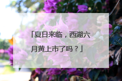 夏日来临，西湖六月黄上市了吗？