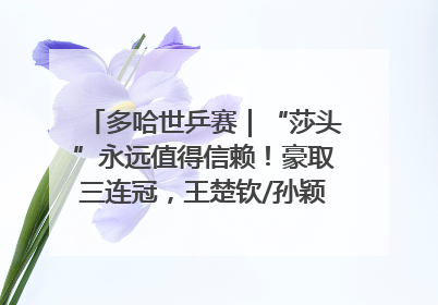 多哈世乒赛｜“莎头”永远值得信赖！豪取三连冠，王楚钦/孙颖莎就是最强混双