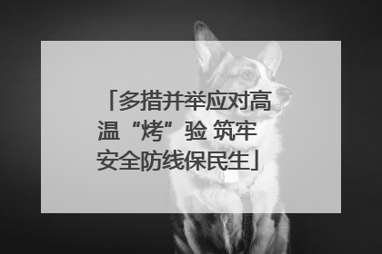 多措并举应对高温“烤”验 筑牢安全防线保民生