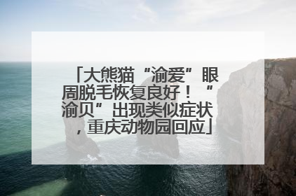 大熊猫“渝爱”眼周脱毛恢复良好！“渝贝”出现类似症状，重庆动物园回应