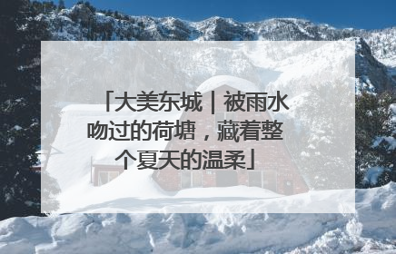 大美东城｜被雨水吻过的荷塘，藏着整个夏天的温柔