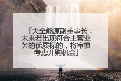 大全能源副董事长：未来若出现符合主营业务的优质标的，将审慎考虑并购机会