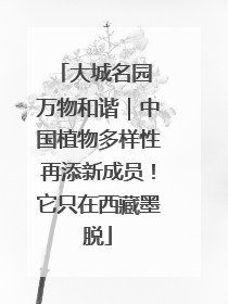 大城名园 万物和谐｜中国植物多样性再添新成员！它只在西藏墨脱
