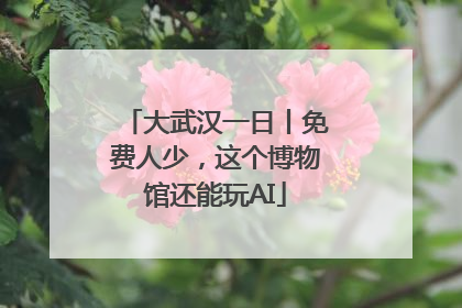大武汉一日丨免费人少，这个博物馆还能玩AI
