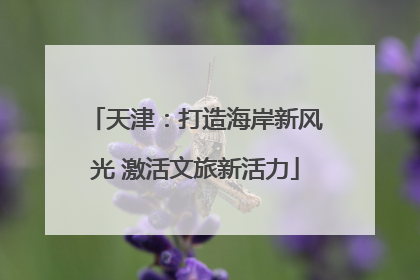 天津：打造海岸新风光 激活文旅新活力