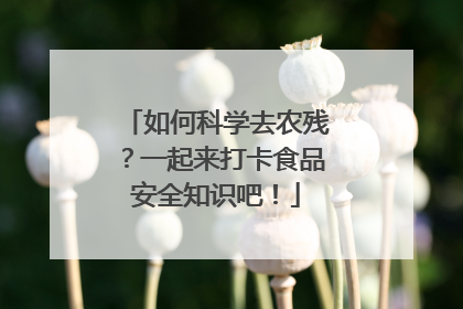 如何科学去农残？一起来打卡食品安全知识吧！
