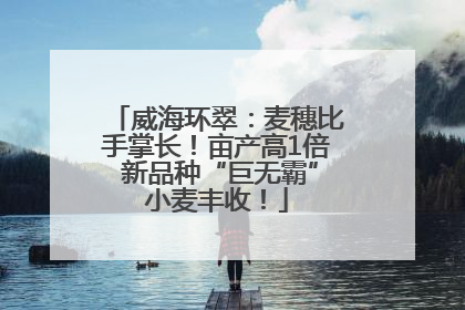 威海环翠：麦穗比手掌长！亩产高1倍 新品种“巨无霸”小麦丰收！