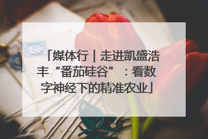 媒体行｜走进凯盛浩丰“番茄硅谷”：看数字神经下的精准农业