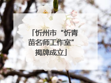 忻州市“忻青苗名师工作室”揭牌成立