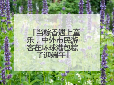 当粽香遇上童乐，中外市民游客在环球港包粽子迎端午