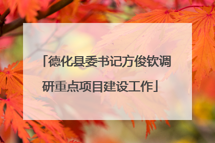 德化县委书记方俊钦调研重点项目建设工作