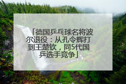 德国乒乓球名将波尔退役：从孔令辉打到王楚钦，同5代国乒选手竞争