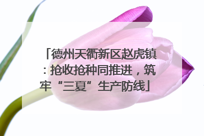 德州天衢新区赵虎镇：抢收抢种同推进，筑牢“三夏”生产防线