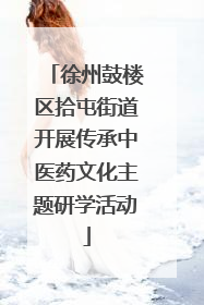徐州鼓楼区拾屯街道开展传承中医药文化主题研学活动