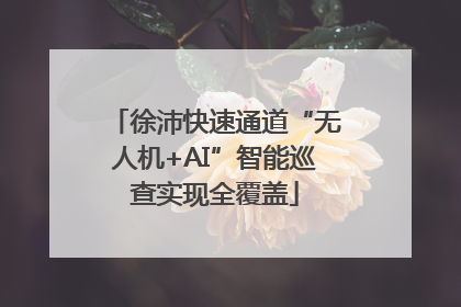 徐沛快速通道“无人机+AI”智能巡查实现全覆盖