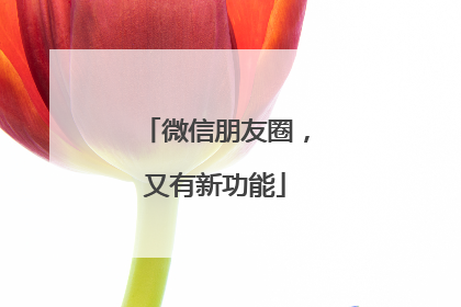 微信朋友圈，又有新功能