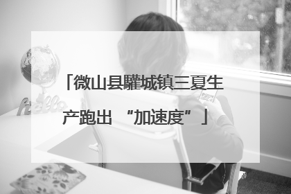 微山县驩城镇三夏生产跑出 “加速度”