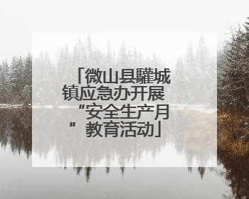 微山县驩城镇应急办开展“安全生产月”教育活动