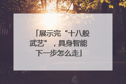 展示完“十八般武艺”，具身智能下一步怎么走