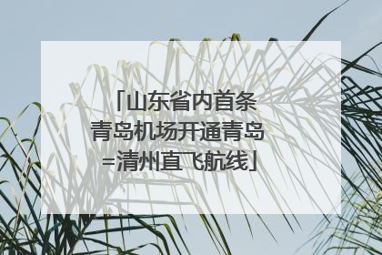 山东省内首条 青岛机场开通青岛=清州直飞航线