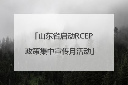山东省启动RCEP政策集中宣传月活动