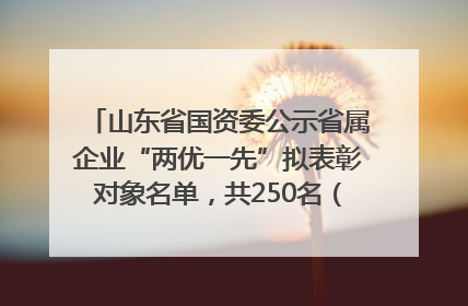 山东省国资委公示省属企业“两优一先”拟表彰对象名单，共250名（个）党员和党组织