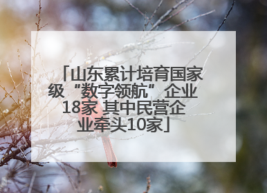 山东累计培育国家级“数字领航”企业18家 其中民营企业牵头10家