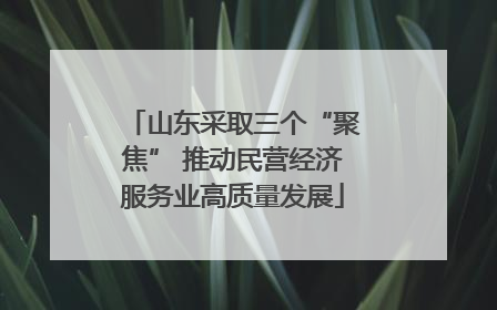 山东采取三个“聚焦” 推动民营经济服务业高质量发展