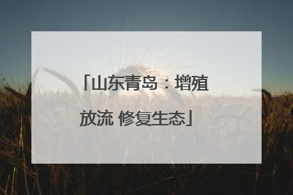 山东青岛：增殖放流 修复生态