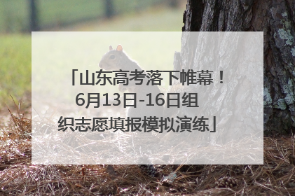 山东高考落下帷幕！6月13日-16日组织志愿填报模拟演练
