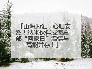 山海为证，心归安然！纳米伙伴威海总部“回家日”温情与高能并存！
