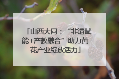 山西大同：“非遗赋能+产教融合”助力黄花产业绽放活力