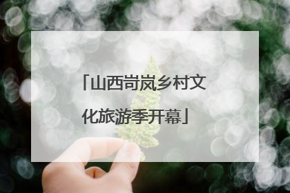 山西岢岚乡村文化旅游季开幕