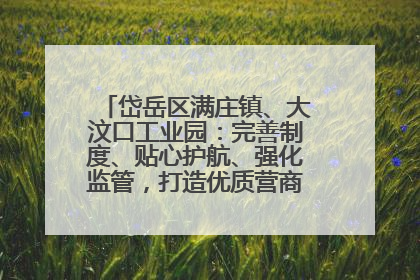 岱岳区满庄镇、大汶口工业园：完善制度、贴心护航、强化监管，打造优质营商“强磁场”