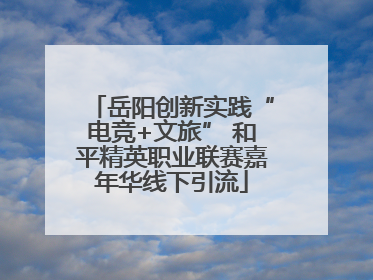 岳阳创新实践“电竞+文旅” 和平精英职业联赛嘉年华线下引流